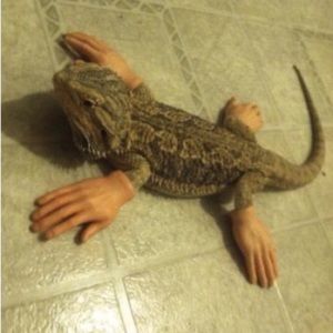 Meet your Posher, Carley